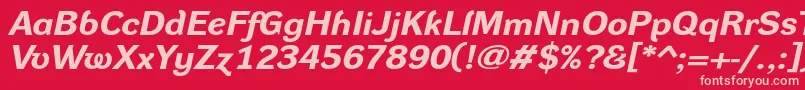 DynagroteskrxeBolditalic Font – Pink Fonts on Red Background