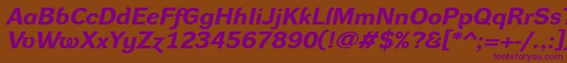 DynagroteskrxeBolditalic Font – Purple Fonts on Brown Background