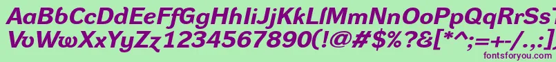 DynagroteskrxeBolditalic Font – Purple Fonts on Green Background