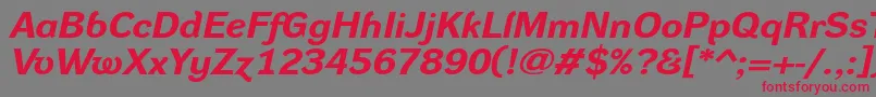 DynagroteskrxeBolditalic Font – Red Fonts on Gray Background