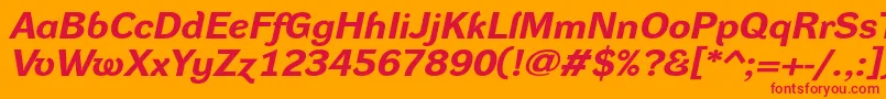 DynagroteskrxeBolditalic Font – Red Fonts on Orange Background