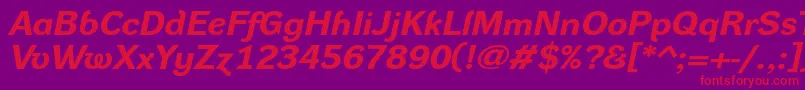 DynagroteskrxeBolditalic Font – Red Fonts on Purple Background