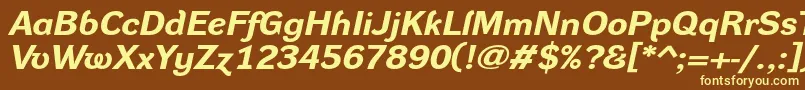 DynagroteskrxeBolditalic Font – Yellow Fonts on Brown Background