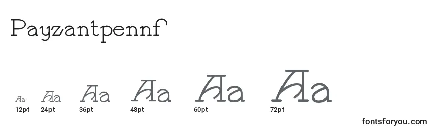 Размеры шрифта Payzantpennf