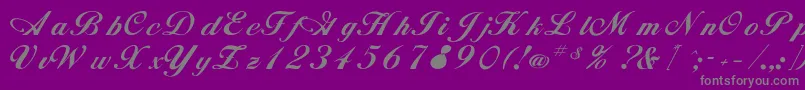fuente Rsalison – Fuentes Grises Sobre Fondo Morado