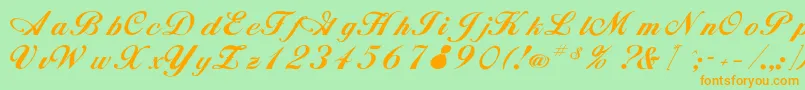 Rsalison Font – Orange Fonts on Green Background
