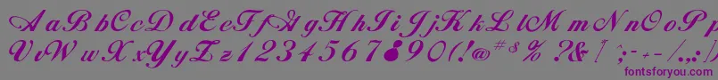 Rsalison Font – Purple Fonts on Gray Background