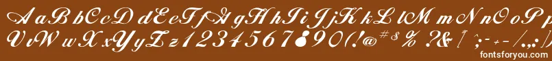 Rsalison Font – White Fonts on Brown Background