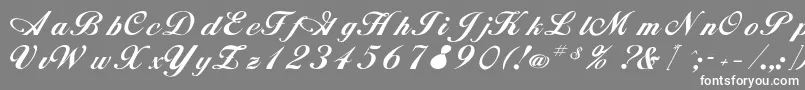 Rsalison Font – White Fonts on Gray Background