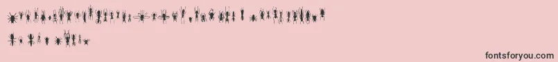 FeWinBugs Font – Black Fonts on Pink Background