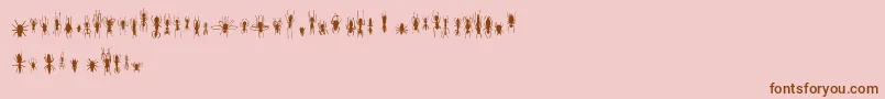 FeWinBugs Font – Brown Fonts on Pink Background