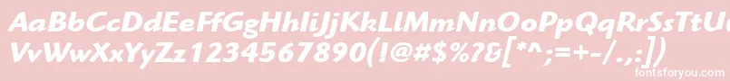 ItcHighlanderLtBoldItalic Font – White Fonts on Pink Background