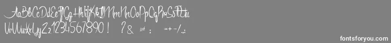 Anacondas Font – White Fonts on Gray Background