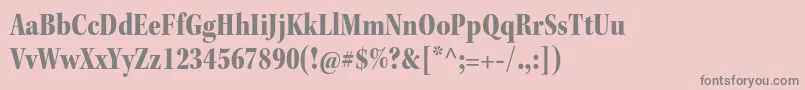 KeplerstdBlackcnsubh Font – Gray Fonts on Pink Background