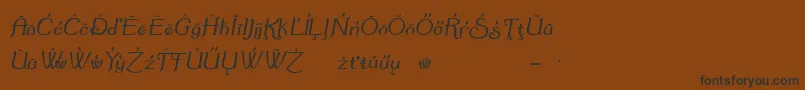 フォントSummertimeExtraOblique – 黒い文字が茶色の背景にあります