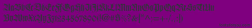 Wilhelmklingsporgotltstd Font – Black Fonts on Purple Background