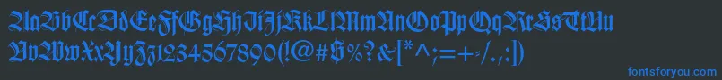 Wilhelmklingsporgotltstd Font – Blue Fonts on Black Background