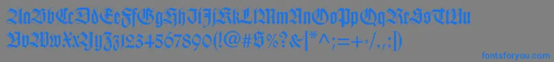 Wilhelmklingsporgotltstd Font – Blue Fonts on Gray Background