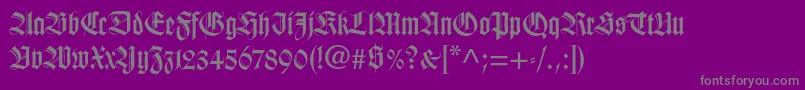 Wilhelmklingsporgotltstd Font – Gray Fonts on Purple Background