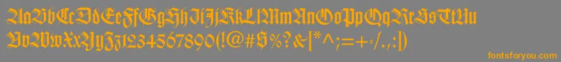 Wilhelmklingsporgotltstd Font – Orange Fonts on Gray Background