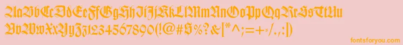 Wilhelmklingsporgotltstd Font – Orange Fonts on Pink Background