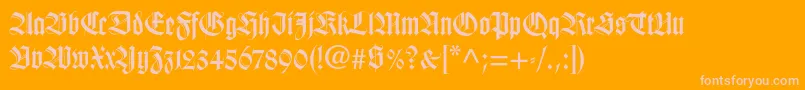 Wilhelmklingsporgotltstd Font – Pink Fonts on Orange Background