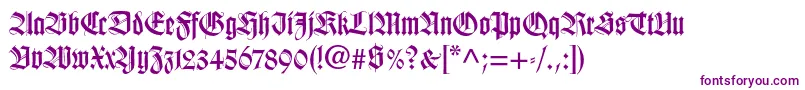 Wilhelmklingsporgotltstd Font – Purple Fonts on White Background
