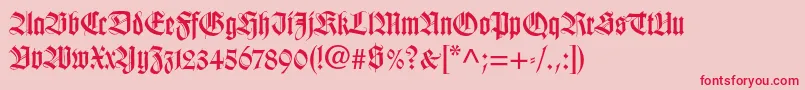 Wilhelmklingsporgotltstd Font – Red Fonts on Pink Background