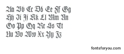 Review of the Wilhelmklingsporgotltstd Font