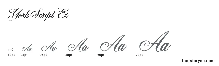 Размеры шрифта YorkScriptEs