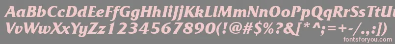 Weitere Informationen zur FrizquadratabttBolditalic-Schriftart FrizquadratabttBolditalic-Schriftart – Rosa Schriften auf grauem Hintergrund