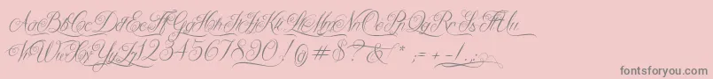QueenOfTheMoon Font – Gray Fonts on Pink Background