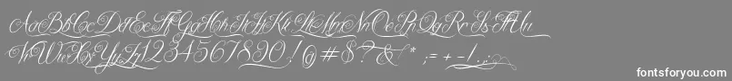 Police QueenOfTheMoon – polices blanches sur fond gris