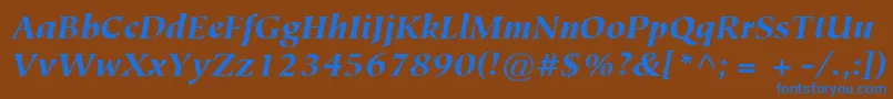 ItcTiepoloLtBlackItalic Font – Blue Fonts on Brown Background