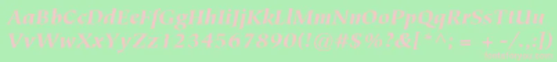 ItcTiepoloLtBlackItalic Font – Pink Fonts on Green Background