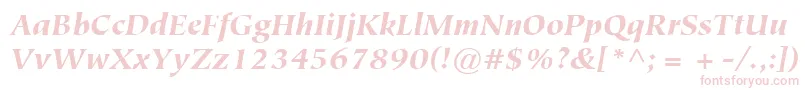 ItcTiepoloLtBlackItalic Font – Pink Fonts on White Background