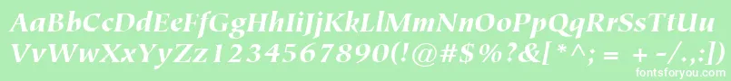 ItcTiepoloLtBlackItalic Font – White Fonts on Green Background