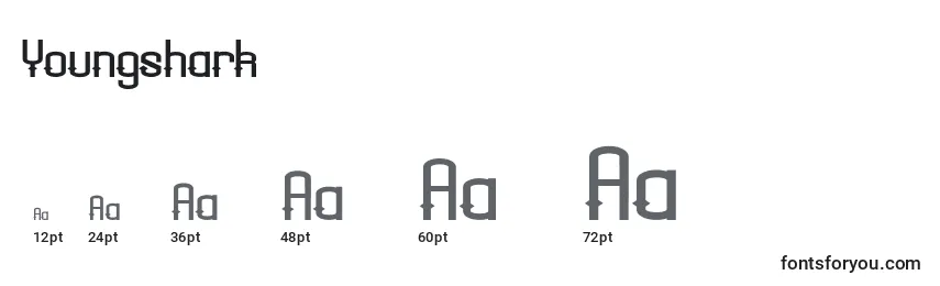 Youngshark Font Sizes
