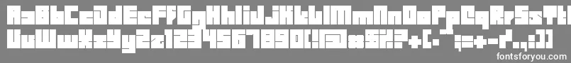 Bdbid Font – White Fonts on Gray Background