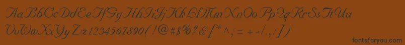 NuncioRegular Font – Black Fonts on Brown Background