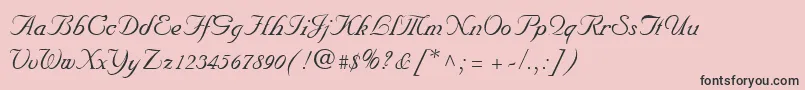 NuncioRegular Font – Black Fonts on Pink Background