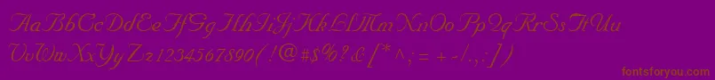 NuncioRegular Font – Brown Fonts on Purple Background