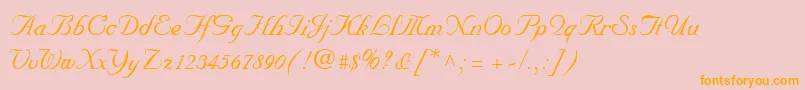 NuncioRegular Font – Orange Fonts on Pink Background