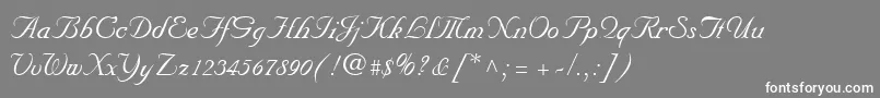 フォントNuncioRegular – 灰色の背景に白い文字