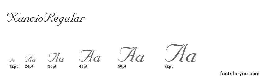 NuncioRegular Font Sizes