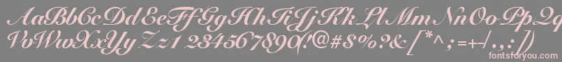 Tangoscriptblackssk Font – Pink Fonts on Gray Background