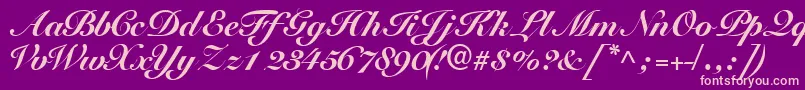 Tangoscriptblackssk Font – Pink Fonts on Purple Background