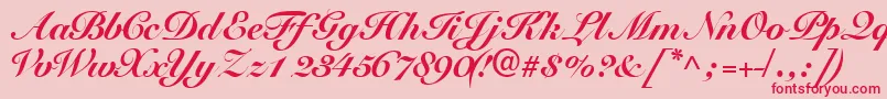 Tangoscriptblackssk Font – Red Fonts on Pink Background