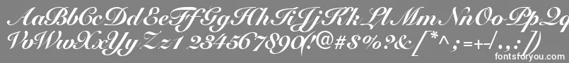 Tangoscriptblackssk Font – White Fonts on Gray Background
