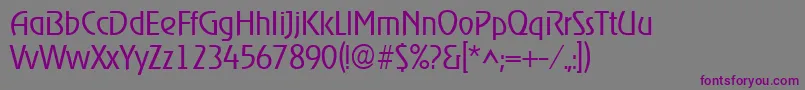 Шрифт RevellightRegular – фиолетовые шрифты на сером фоне